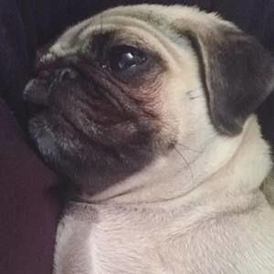 Meet your Posher, Maryann